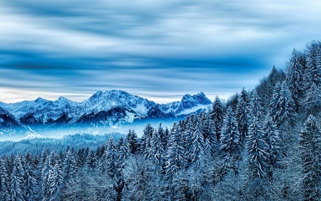 Русский лес - обои для рабочего стола, картинки, фото