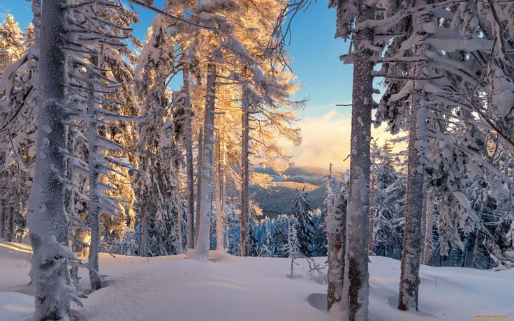 Winter snow на Андроид скачать ...