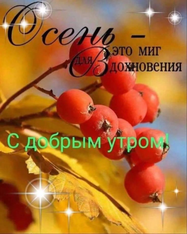 Осенние открытки 