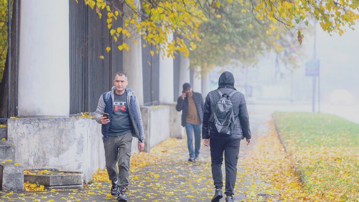 Виды Москвы и Петербурга : Осенний ...