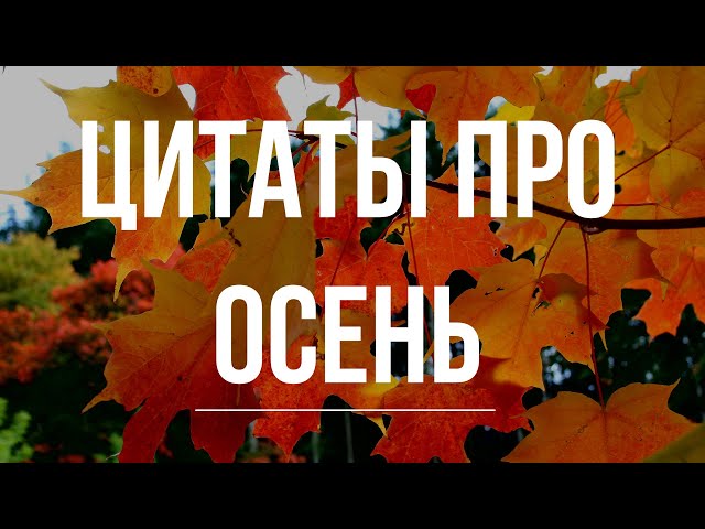 Красивые цитаты про осень | Статусы про времена года