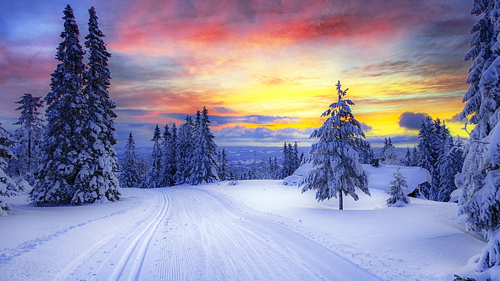 Зима - Christmas tree on the snowy outskirts of the city ...