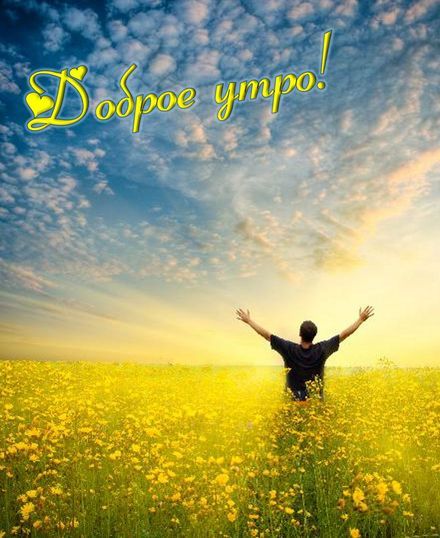 Картинка с добрым утром природа красивое пожелание скачать и ...