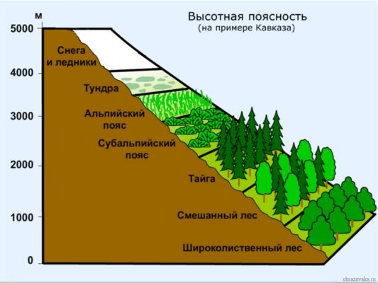 Укажите на карте Евразии перечисленные природные зоны ...