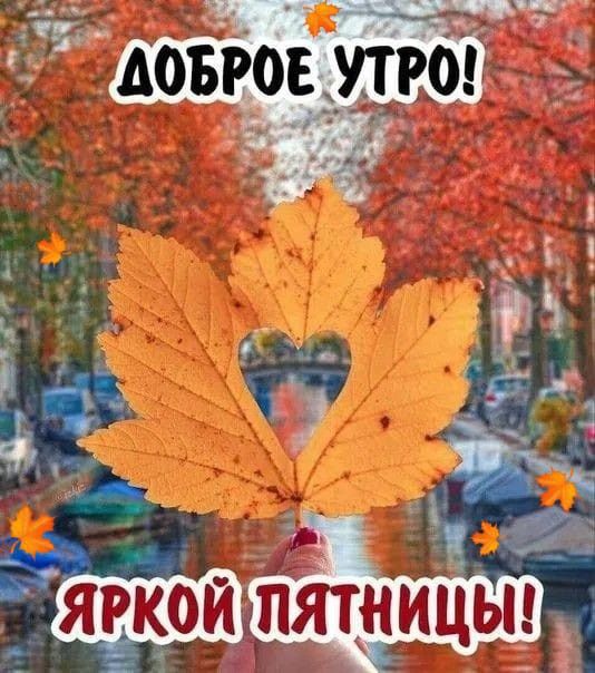 Открытки с добрым утром пятницы ...