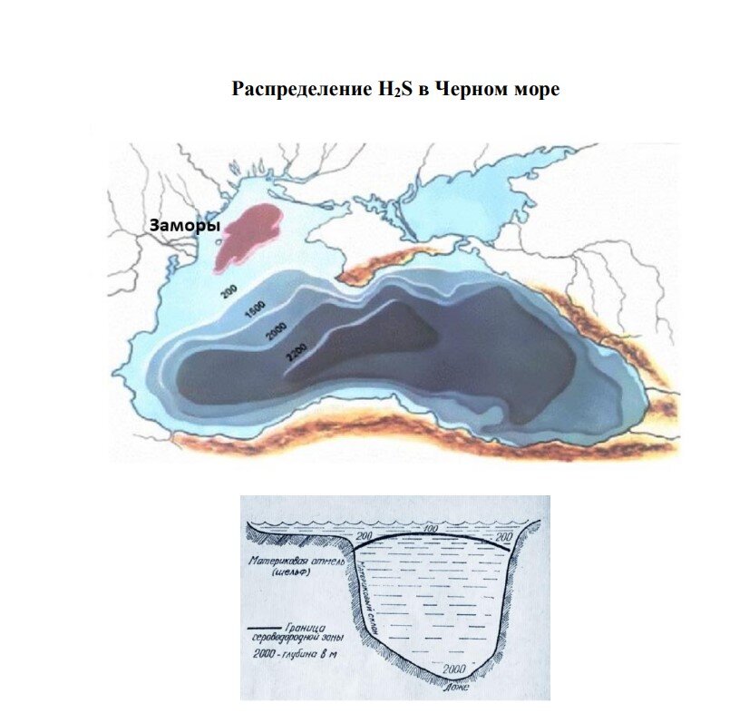 Как выглядит проект очистки Черного моря от сероводорода с ...