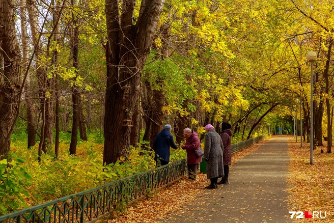 Погода на 3 октября: в Тюмени ...