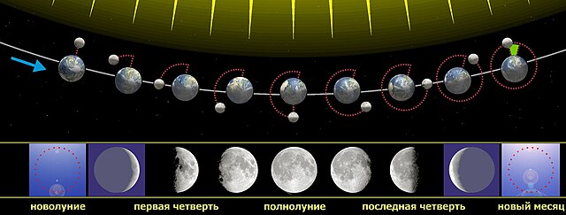 Карты ТАРО. Курс ЕШКО для начинающих