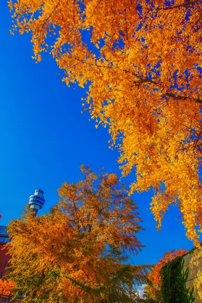 Фото Осень в Городе на фотохостинге Fotoload