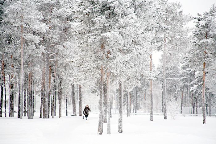 Зима В Горах. Сибирь / Winter In The Mou, Painting by Uliana ...