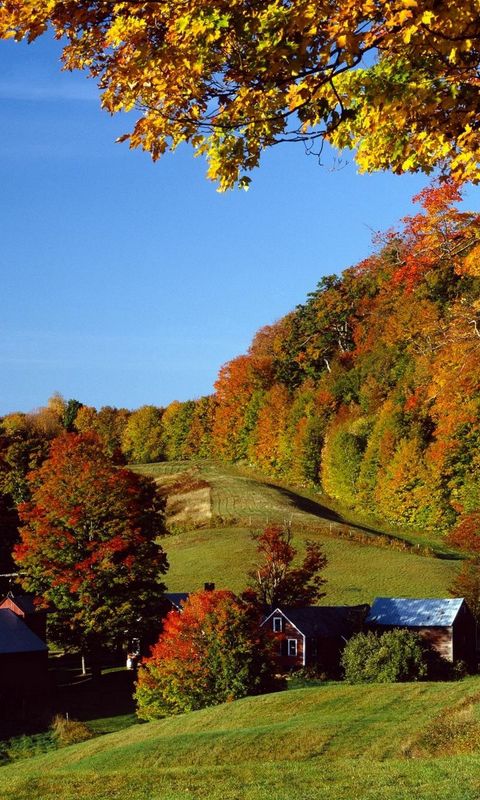 Обои Дома, Осень, Деревня, Autumn, Village, Houses на телефон ...