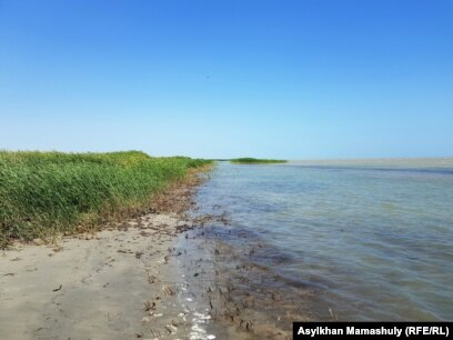 Как живёт сегодня Арал – море, которое принесли в жертву хлопку