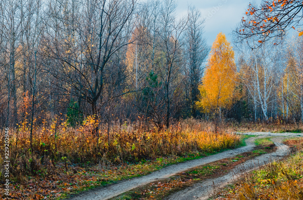 Осень, Красносельские заливы, река Волга, Костромская область ...