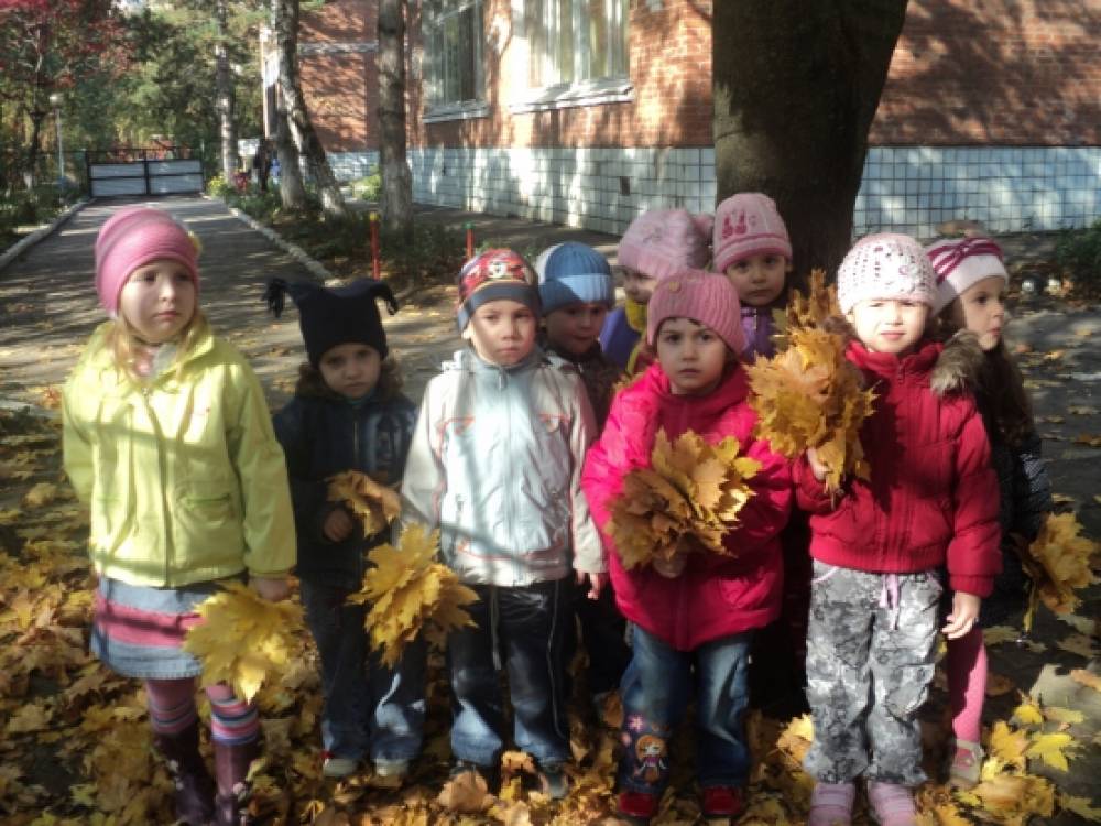 Прогулки в сентябре в средней группе ...