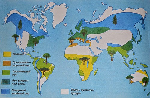 Лесоведение. Номер 6, 2021