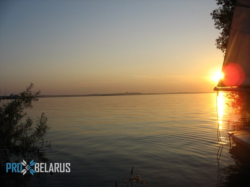 На белорусских водохранилищах стала зеленеть вода. В чем причина?