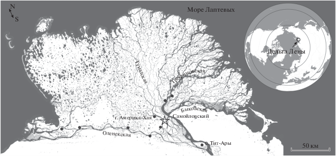 Лабрадорское море. Описание водоема ...