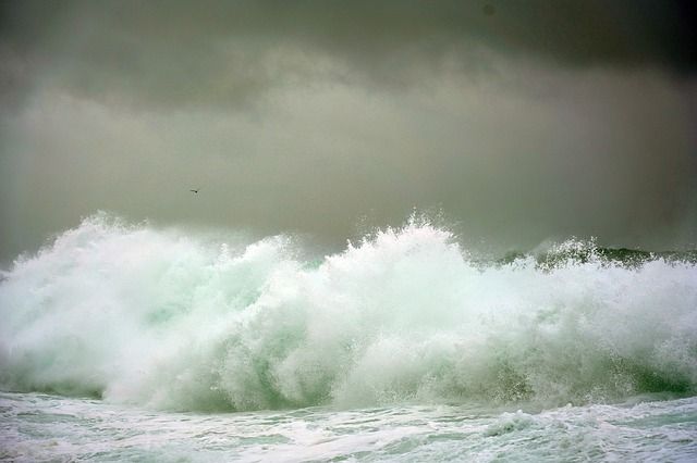 Сегодня на Азовском море купаться опасно: бушует шторм ...