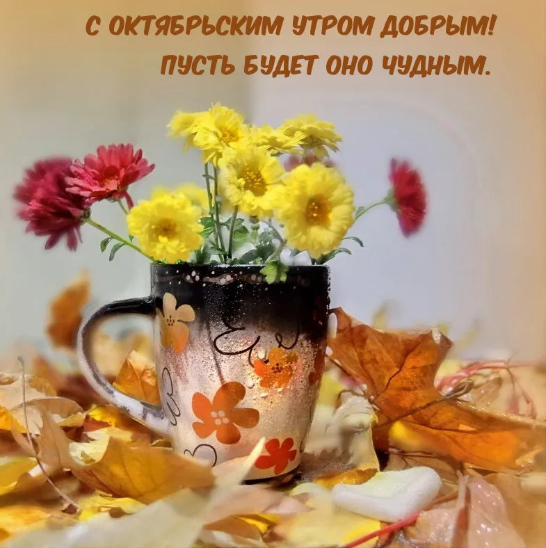 🍂Доброе утро! Сегодня 24 октября ...