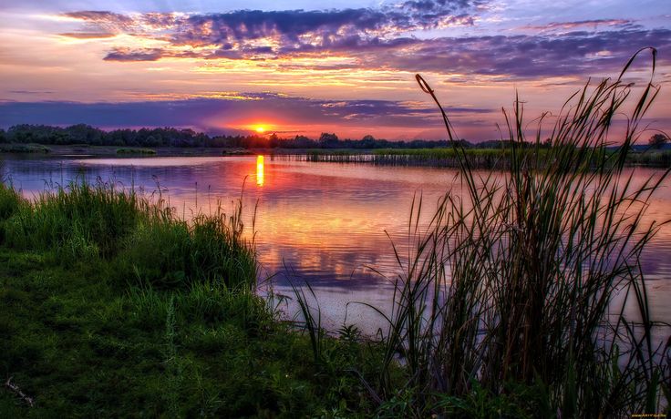 Скачать обои закат, море, пальмы бесплатно для рабочего стола ...