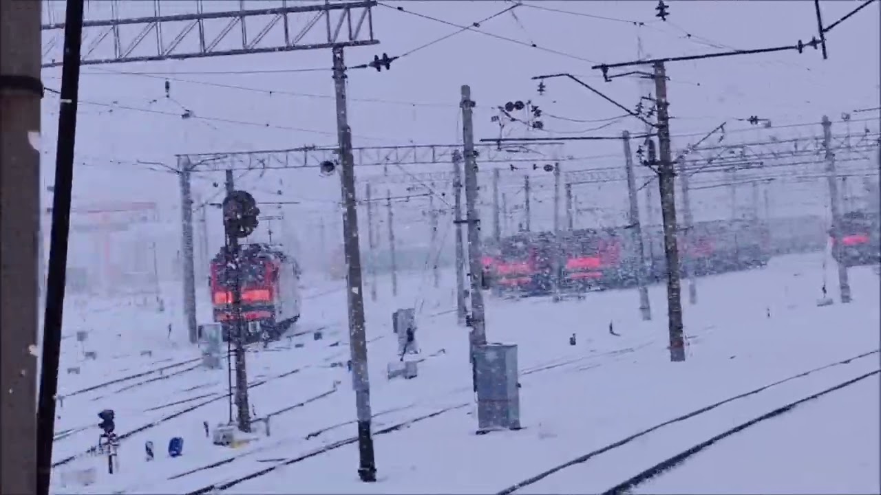 Впереди зима, укрепи иммунитет сейчас! — Новость компании «4 ...