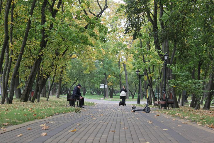 Полоцкий парк в г. Минск осенью (2022 год). Стоковое фото ...