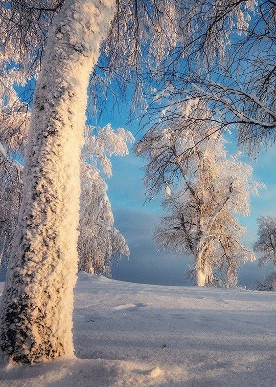 Зимний пейзаж