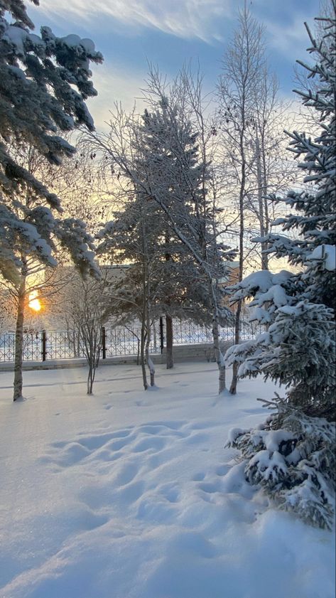 Снежинка приземлилась на теплую ...