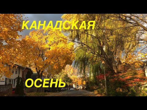 Северная Америка осень пейзаж Монреаль Квебек провинция ...