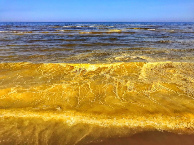 Капризы природы: воды Балтийского моря окрасились в ярко ...