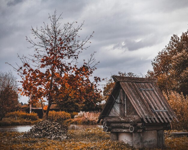 Рисунок Осень в деревне №340539 - «Осенняя пора - очей ...