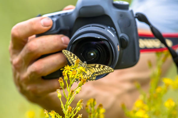 Всероссийский фотоконкурс для детей и педагогов 