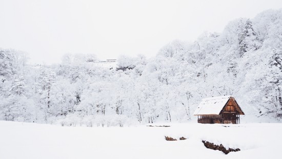 Winter Snow, Зима, Снег (1920x1080 ...