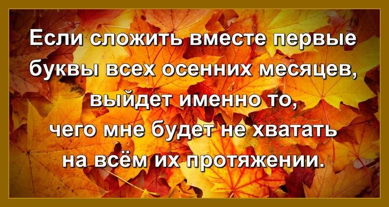 Цитаты и подписи про осень для Инстаграм