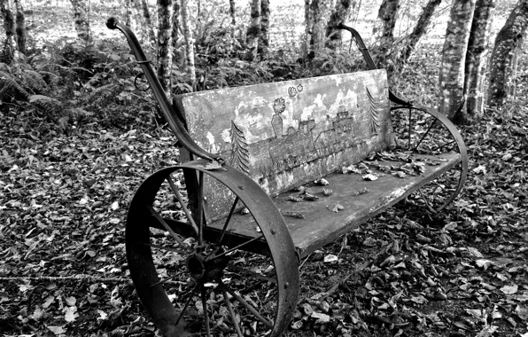 Autumn in black & white /Осень в чёрно ...