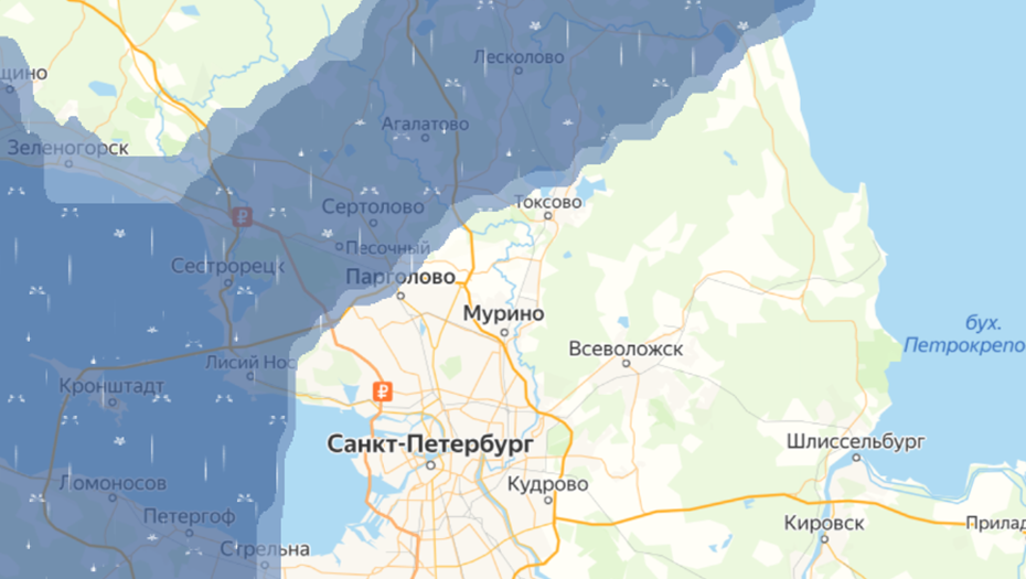 Карта «Подорожник» в Петербурге: самая полная информация на ...