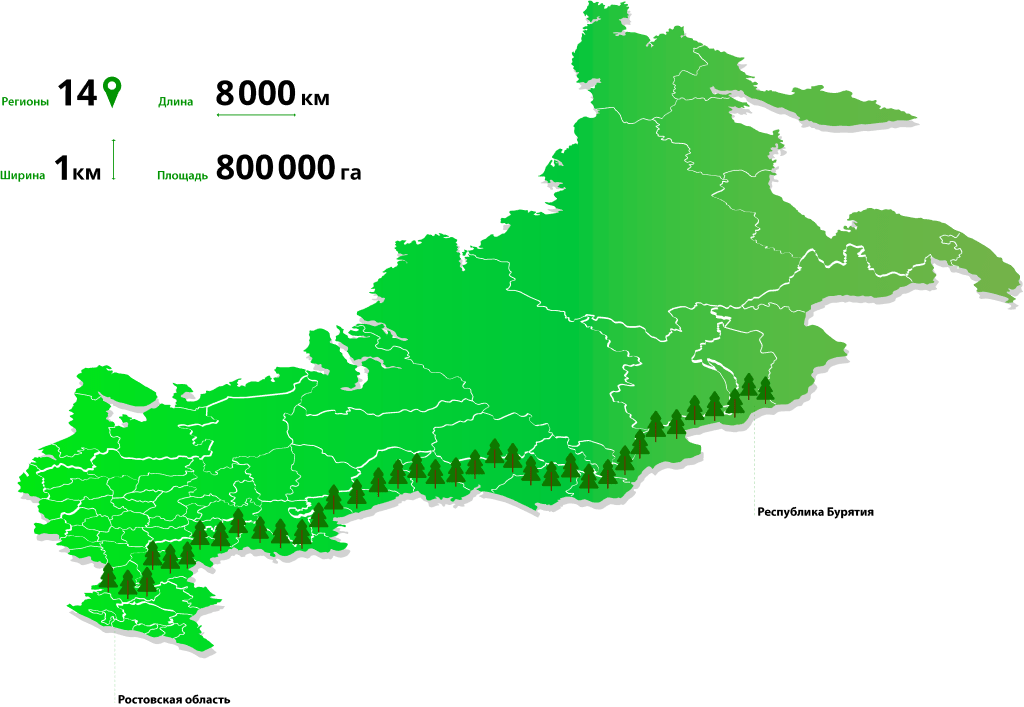 Лесоведение. Номер 6, 2021