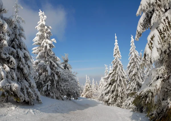 Winter in Siberia.Зима в Сибири. - YouTube