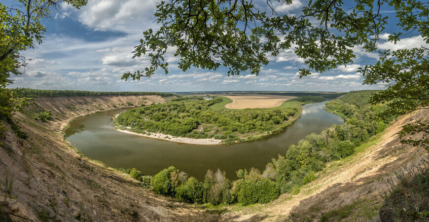 Кривоборье (Воронеж): история места, фото, как добраться -