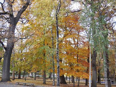 Куда сходить в Ставрополе в последний месяц осени? - Лента ...