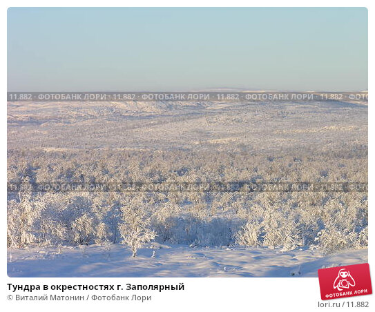 ЖИВЁМ В ТУНДРЕ НА ЛЬДУ \ Я В АХ ...