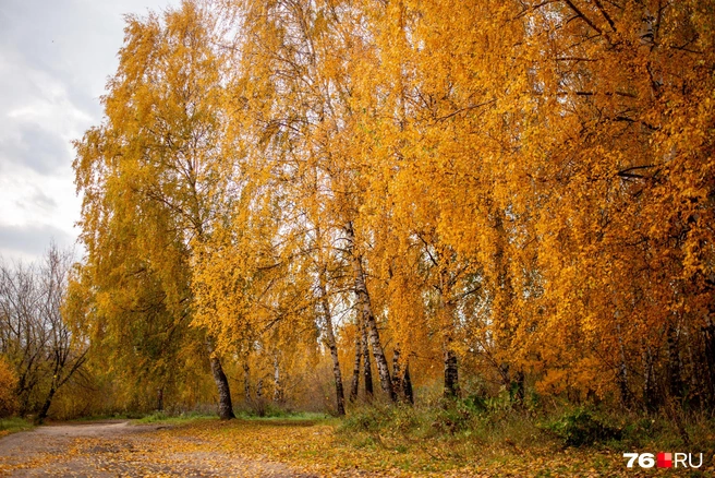 Осень - женщина очень красивая (Татьяна Сухая) / Стихи.ру