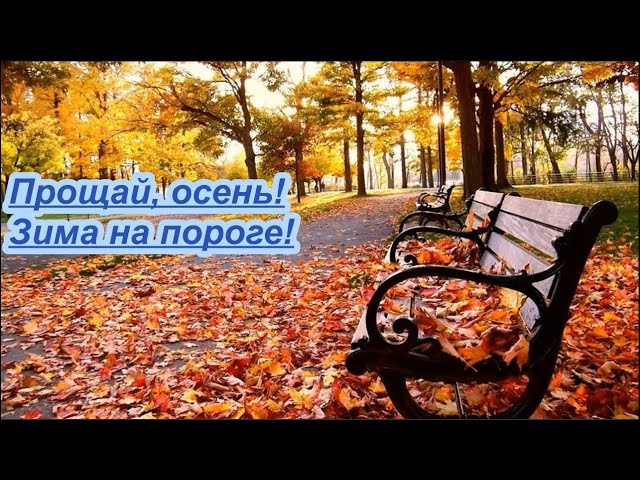 Зима на пороге. Подводим итоги, Как год уходящий прошел ...