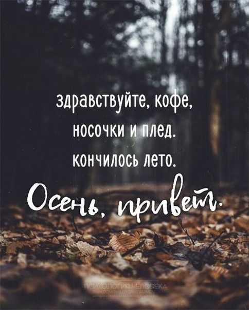 мысли #цитаты #осень🍂 | TikTok