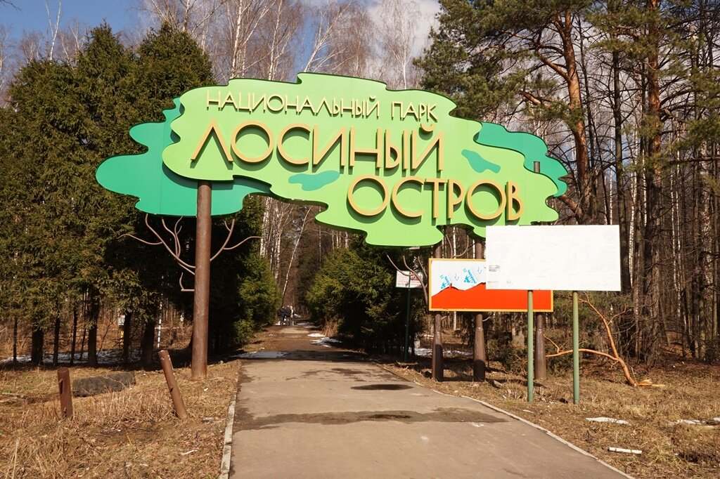 Лосиный остров. Фотоохота: kaydalin — LiveJournal