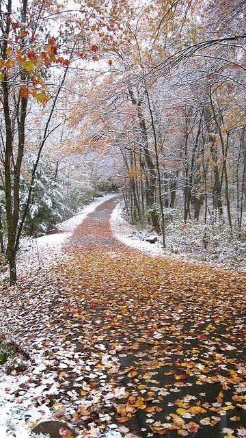 Осень, зачем так холодно?🥶 Каждый день задаемся этим ...