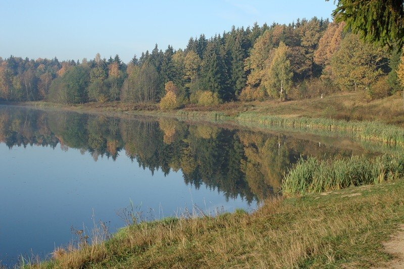 Вблизи Загорского моря создадут парк. Каким он будет решат ...