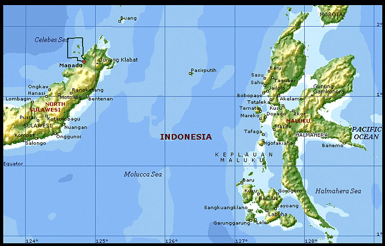 Дайв-туры в Индонезии, маршрут - «Derawan / North Sulawesi ...