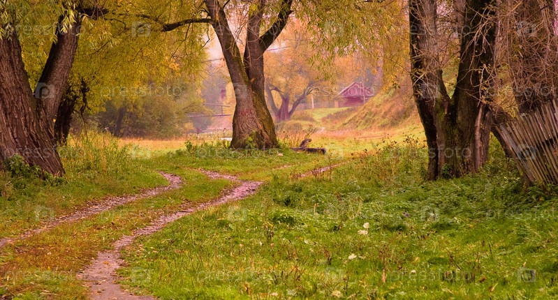 Золотая осень: живописная дорога и ...