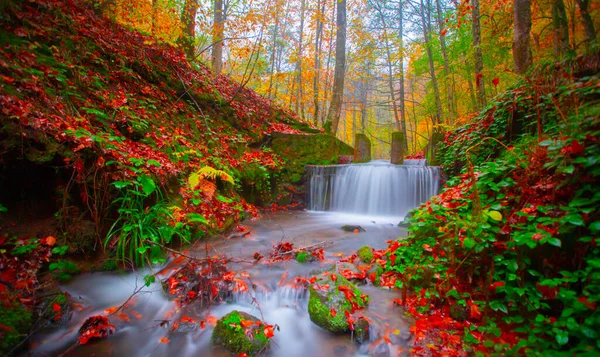 Скачать обои осень, лес, пейзаж, водопад, nature, water ...